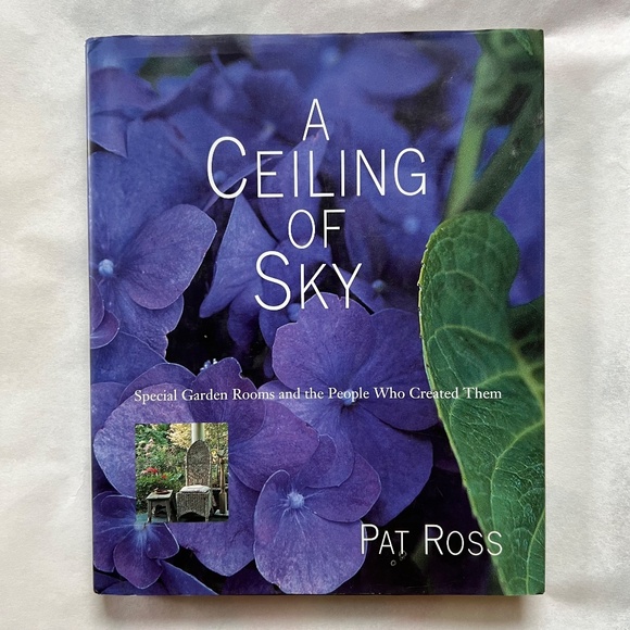 BARGAIN: 4 books by Miller, Chen, Ross and a Spark Notes - Picture 12 of 14